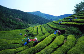 從北京出發，探索世界 一份出境旅行指南