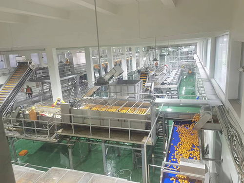 農(nóng)發(fā)行忠縣支行加大農(nóng)業(yè)科技投放力度，助力企業(yè)高質(zhì)量發(fā)展