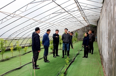 農(nóng)業(yè)科研新篇章 國(guó)家柿圃改擴(kuò)建項(xiàng)目評(píng)審會(huì)圓滿召開(kāi)，助推柿產(chǎn)業(yè)高質(zhì)量發(fā)展