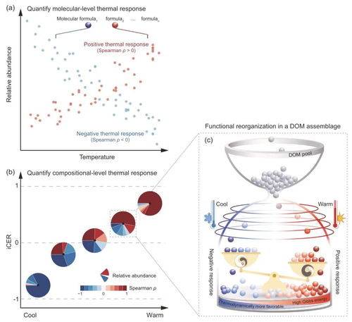 全球變化背景下有機碳環(huán)境響應力研究取得新進展——農(nóng)業(yè)科學研究與試驗發(fā)展的前沿探索